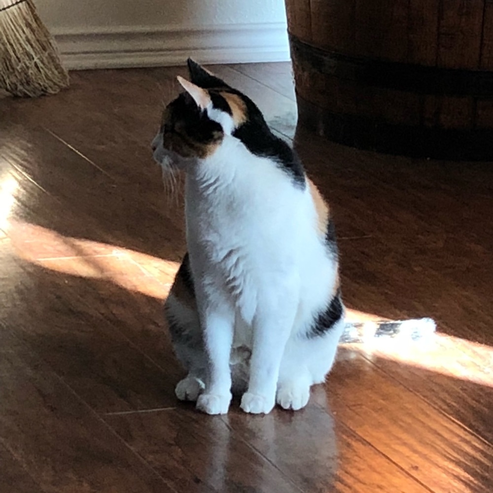 Meet your Posher, Brynn
